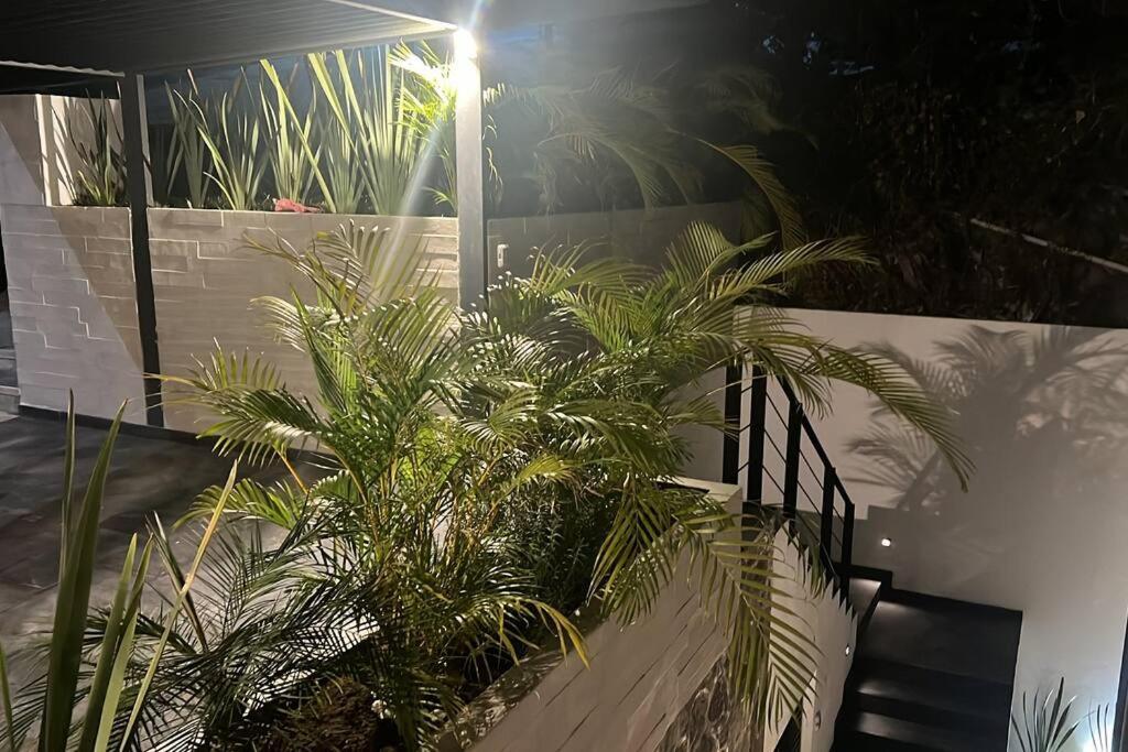 Residencia Corinto La Cima Frac Burgos Bugambilias Villa Temixco Bagian luar foto